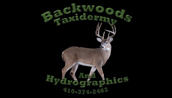 Backwoods Taxidermy